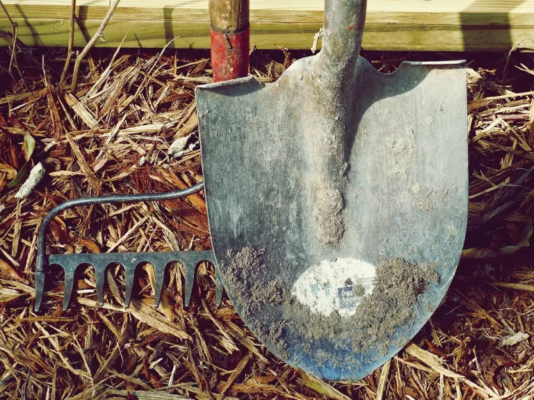 Mise en avant du paillage jardin