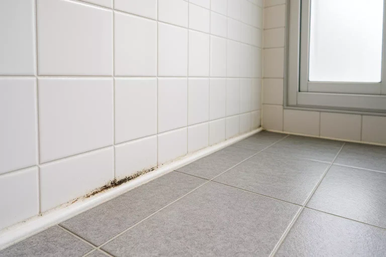 moisissure sur joint de salle de bain à nettoyer